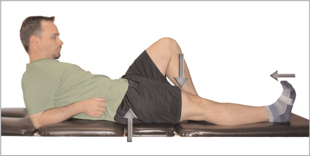 Quad Extension Exercises At Priscilla Carollo Blog