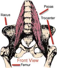 Psoas