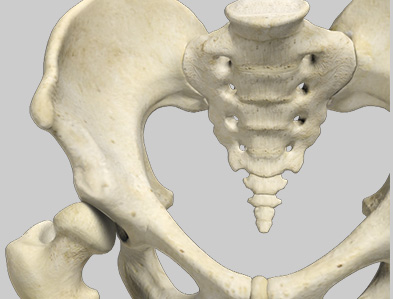 Developmental Dysplasia