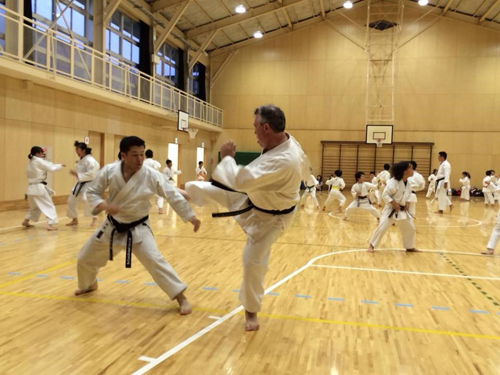 Sparring in Japan