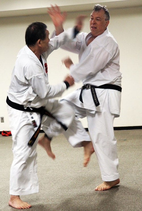 Sparring in Japan