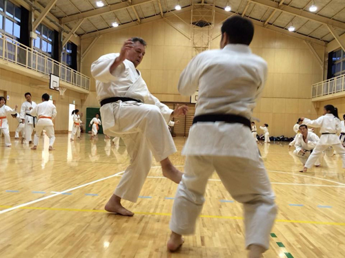 Sparring in Japan